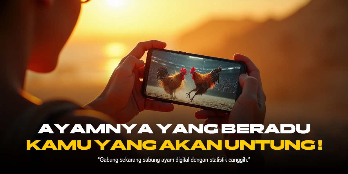 Sabung Ayam: Dinamika Tradisi dan Kontroversi dalam Dunia Adu Ayam
