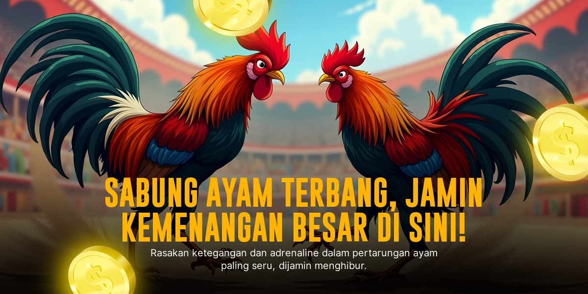 Mengenal Ayam Bangkok: Raja Sabung Ayam di SV388
